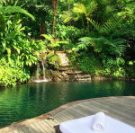 COMO Shambhala Spring Pool Jungle